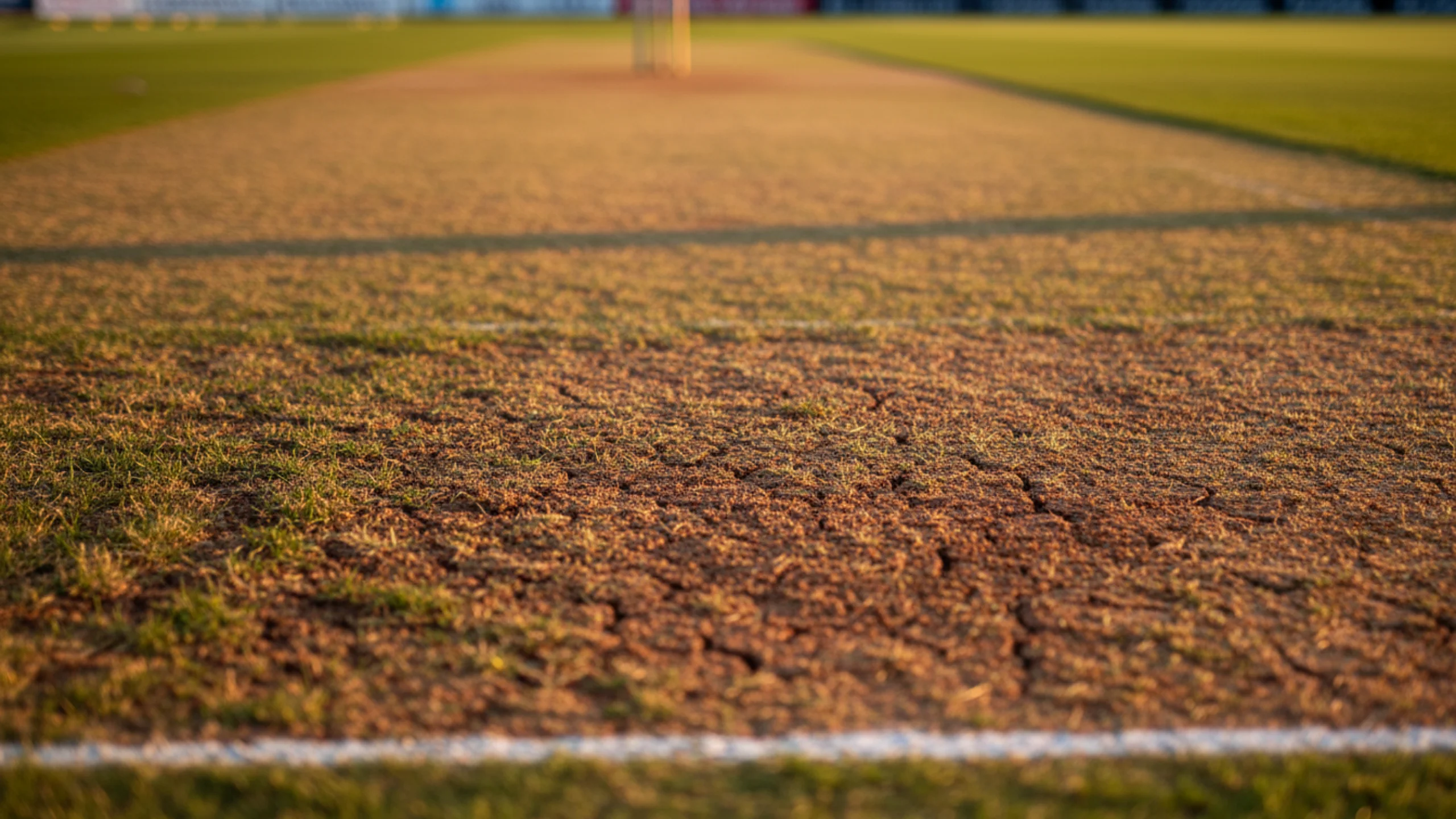 Close-up view of cricket pitch surface showing grass coverage and soil characteristics for match analysis
